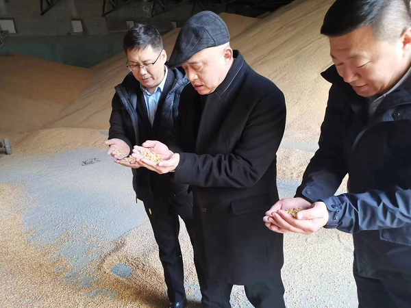 图片8.png